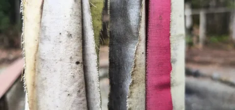 closeup