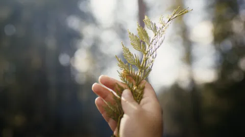 grass in hand